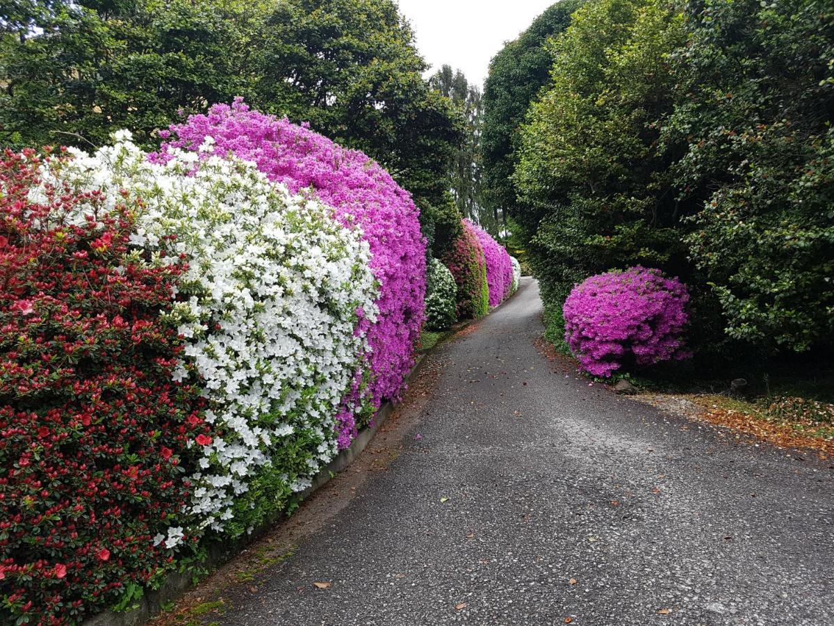 Bmp Apartment Gioiosa 2 Giardino Vista Lago Maggiore ベルジラーテ エクステリア 写真